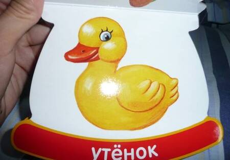 Фотография книги "Неваляшки-погремушки. Мои первые слова. Игрушки"