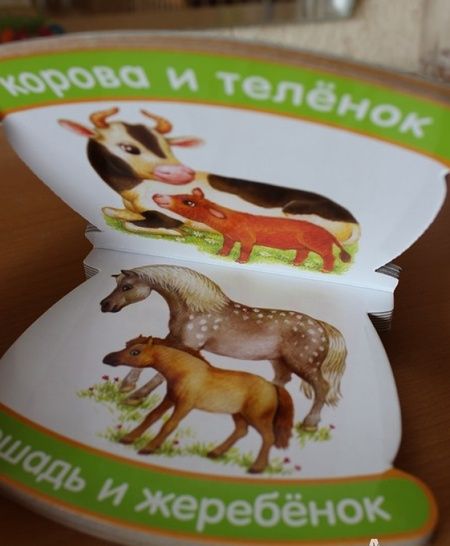 Фотография книги "Неваляшки-погремушки. Мои первые слова. Мамы и детки"