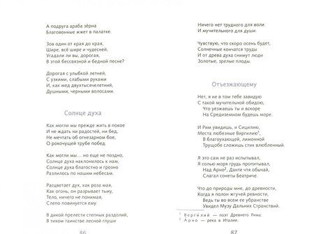 Фотография книги "Николай Гумилев: Капитаны"