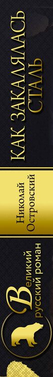 Фотография книги "Николай Островский: Как закалялась сталь"