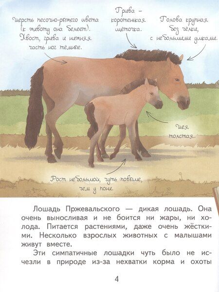 Фотография книги "Николай Пржевальский"