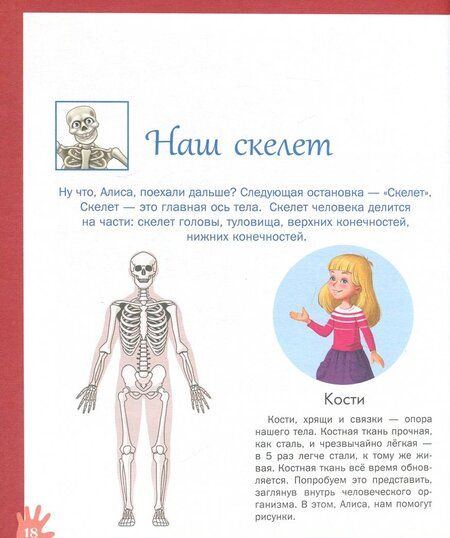 Фотография книги "Николай Савельев: Путешествие Алисы в страну Анатомию"