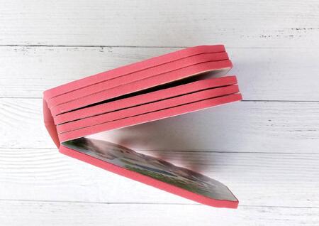 Фотография книги "Нина Пикулева: Полезные машины"