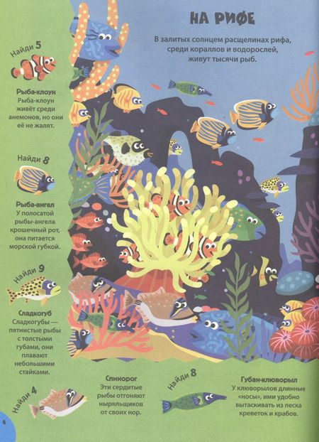 Фотография книги "Ныряй в океан!"