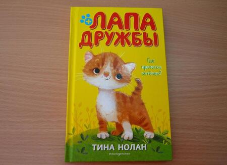 Фотография книги "Нолан: Где прячется котёнок?"