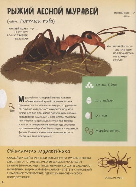 Фотография книги "Новакова, Бартова, Седлакова: Кто появляется на свет из яйца?"