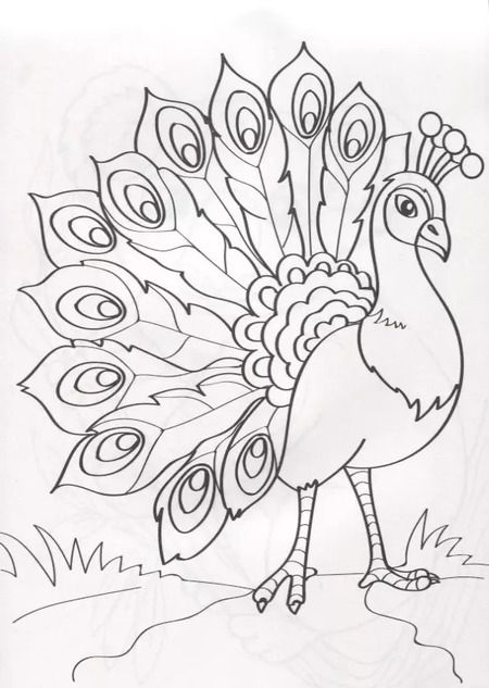 Фотография книги "О. Рожина: Зоопарк. Комплект раскрасок для детских садов и центров развития. 100 листов"