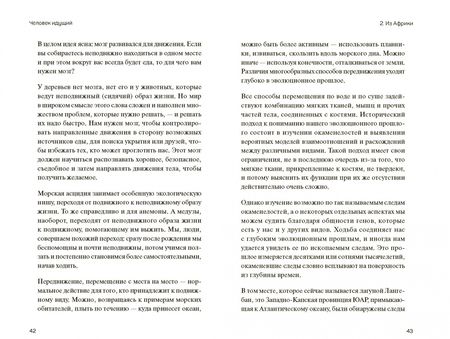 Фотография книги "О`Мара: Человек идущий. Новая наука о том, как мы ходим и почему это нам необходимо"