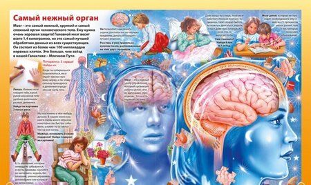 Фотография книги "О теле человека для мальчиков и девочек. Детская энциклопедия"