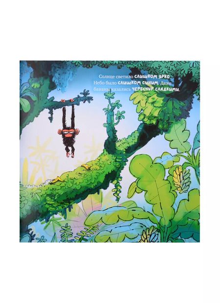 Фотография книги "Обезьянка-ворчун"