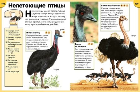 Фотография книги "Обо всём на свете в вопросах и ответах"