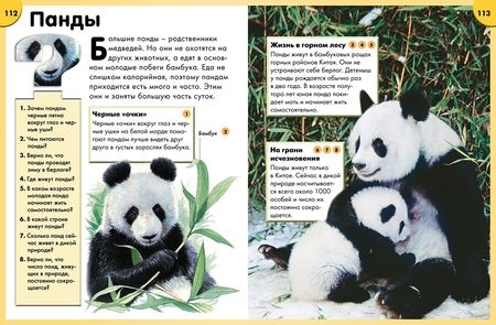 Фотография книги "Обо всём на свете в вопросах и ответах"