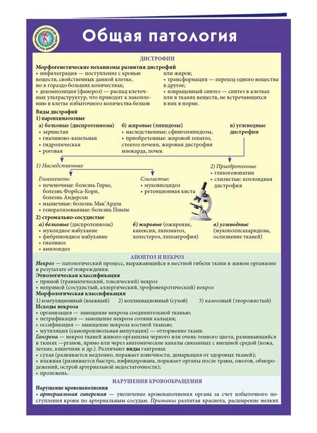 Фотография книги "Общая патология"