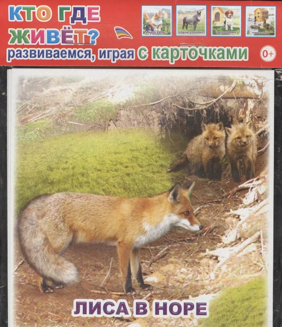 Обложка книги "Обучающие карточки. Кто где живет?"