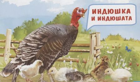 Фотография книги "Обучающие карточки "Мамы и детки""