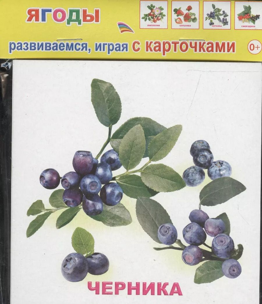 Обложка книги "Обучающие карточки Ягоды (упаковка) (978-5-91282-662-7)"