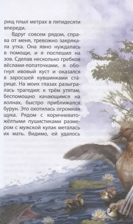 Фотография книги "Охотничьи сказки. Познавательные сказки-рассказки о природе для любознательных детей"