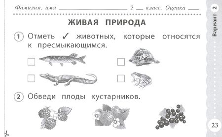 Фотография книги "Оксана Кучук: Окружающий мир. 2 класс. Экспресс-контроль. ФГОС"