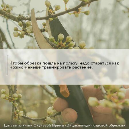 Фотография книги "Окунева: Энциклопедия садовой обрезки"