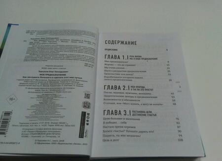 Фотография книги "Олег Торсунов: Мое предназначение. Как заслужить большего и сделать этот мир лучше"