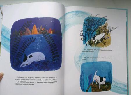 Фотография книги "Ольга Фадеева: Веришь ли ты в море?"