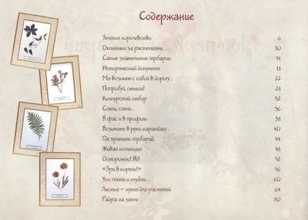 Фотография книги "Ольга Колпакова: Мой первый гербарий"