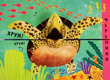 Фотография книги "Ольга Мозалева: Путаница в океане. Кто сказал Буль?!"