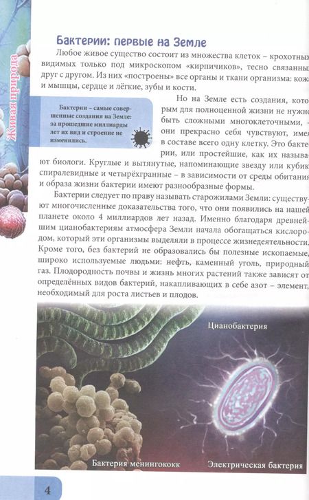 Фотография книги "Ольга Тяжлова: ЭНЦИКЛОПЕДИЯ. В МИРЕ ЗНАНИЙ. ЖИВАЯ ПРИРОДА"