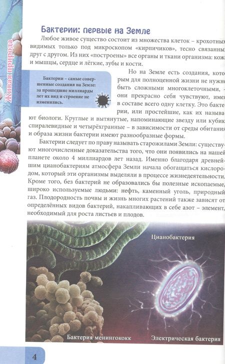 Фотография книги "Ольга Тяжлова: ЭНЦИКЛОПЕДИЯ. В МИРЕ ЗНАНИЙ. ЖИВАЯ ПРИРОДА"