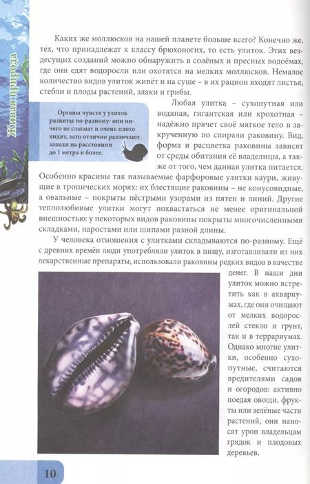 Фотография книги "Ольга Тяжлова: ЭНЦИКЛОПЕДИЯ. В МИРЕ ЗНАНИЙ. ЖИВАЯ ПРИРОДА"