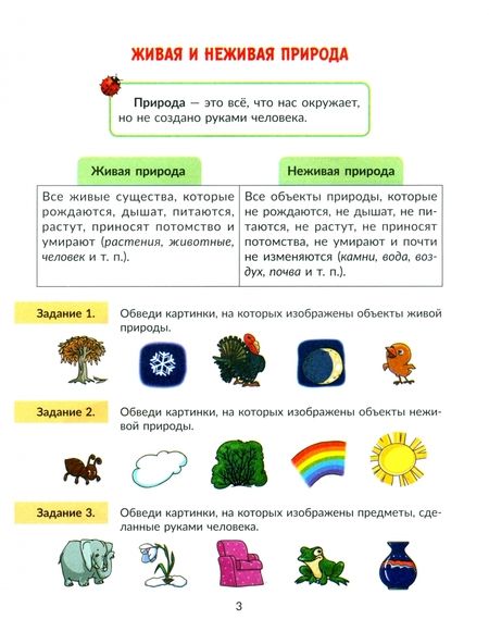Фотография книги "Ольга Ушакова: Окружающий мир. 1 класс. Тренажер. Самые важные темы программы с проверочными заданиями и ответами"