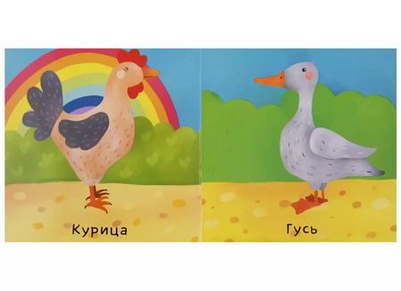 Фотография книги "Ольга Уткина: Животные"