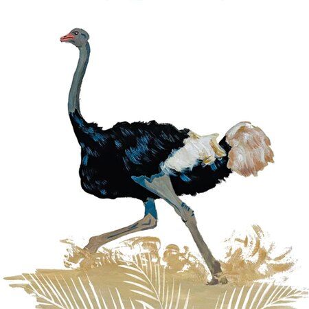 Фотография книги "Ольга Вербицкая: Как уложить питона спать. Сказка"