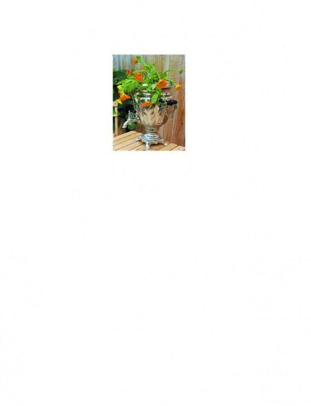 Фотография книги "Ольга Воронова: Сам себе ландшафтный дизайнер"