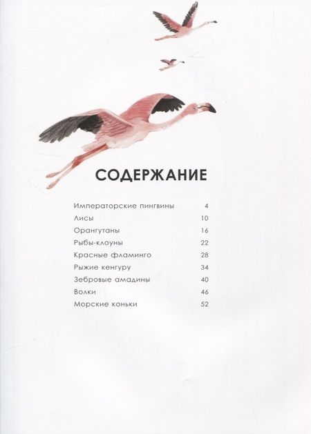 Фотография книги "Олливье, Клаас: Лучшие родители"