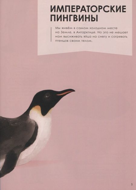 Фотография книги "Олливье, Клаас: Лучшие родители"