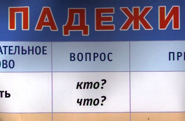 Обложка книги "Падежи. Наглядное пособие. А1"