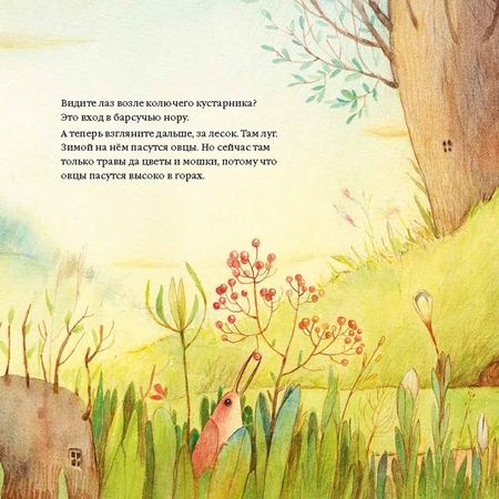 Фотография книги "Паола Сала: Маргарита смотрела на звёзды"