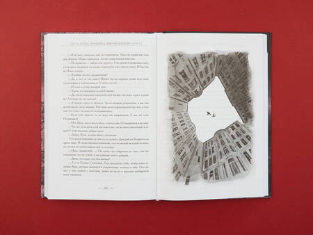 Фотография книги "Парипская: Срок Серебряный"