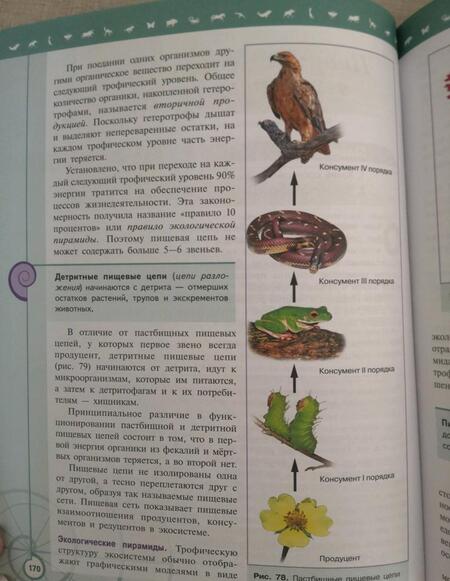 Фотография книги "Пасечник, Каменский, Швецов: Биология. 11 класс. Учебник. Базовый уровень. ФГОС"