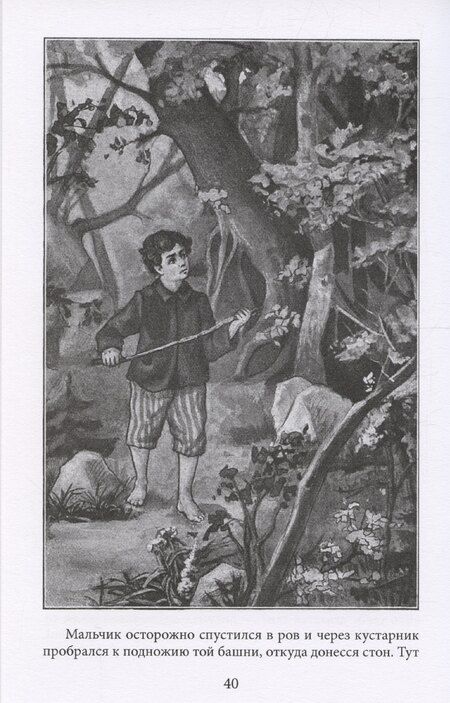 Фотография книги "Павел Засодимский: Заговор сов"