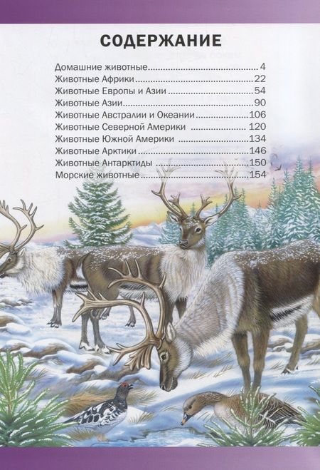 Фотография книги "Пере Ровира: Животные мира.Энциклопедия для детей(МЕЛОВКА)"