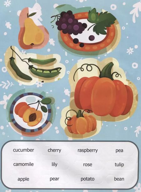 Фотография книги "Первые слова. Английский. Что растет в моем саду? Обучение с наклейками"