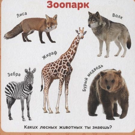 Фотография книги "Первые слова"