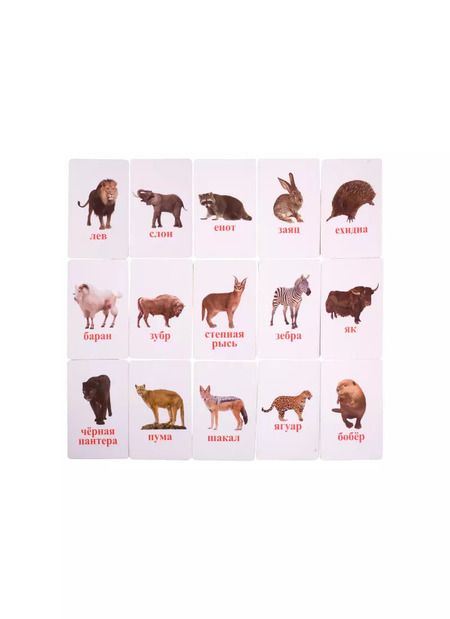 Фотография книги "Первый словарь в картинках "Дикие животные""