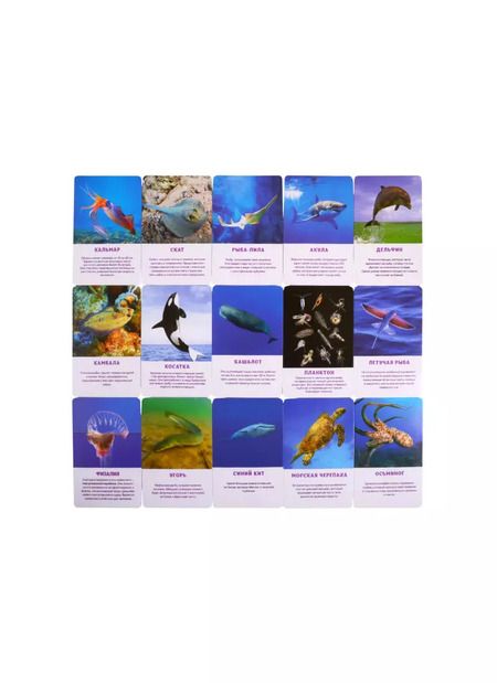 Фотография книги "Первый словарь в картинках "Морские обитатели""