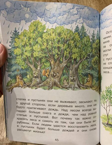 Фотография книги "Петр Волцит: Почему из крана вода течет?"