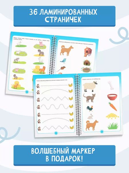 Фотография книги "Пиши-стирай 2-4 года"
