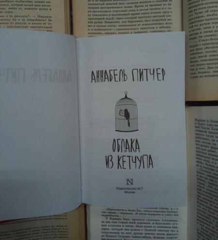 Фотография книги "Питчер: Облака из кетчупа"