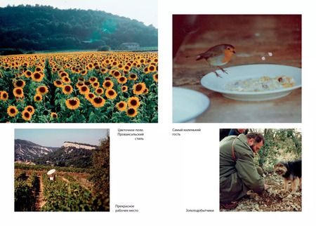 Фотография книги "Питер Мейл: Мои двадцать пять лет в Провансе"
